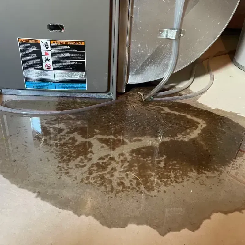 Appliance Leak Cleanup in McDonough County, IL